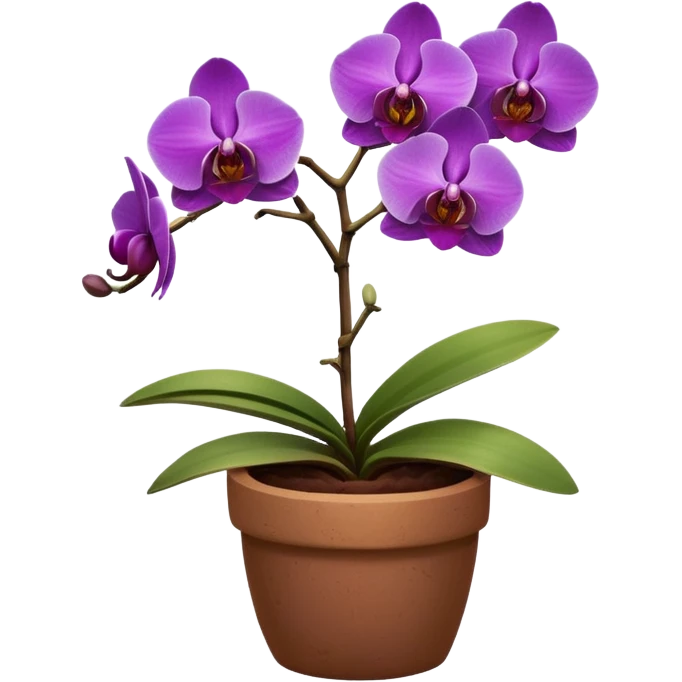 Purple Orchid in a clay pot emoji