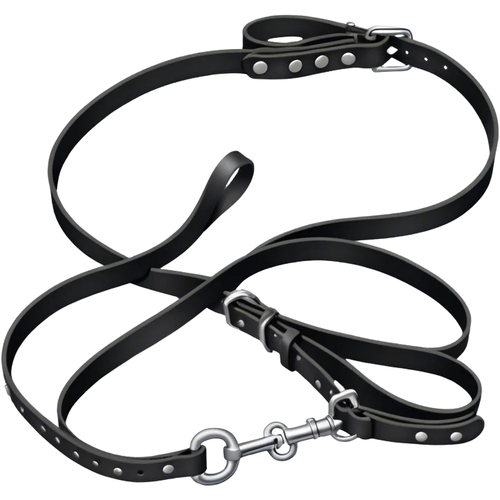 Black collar with leash emoji