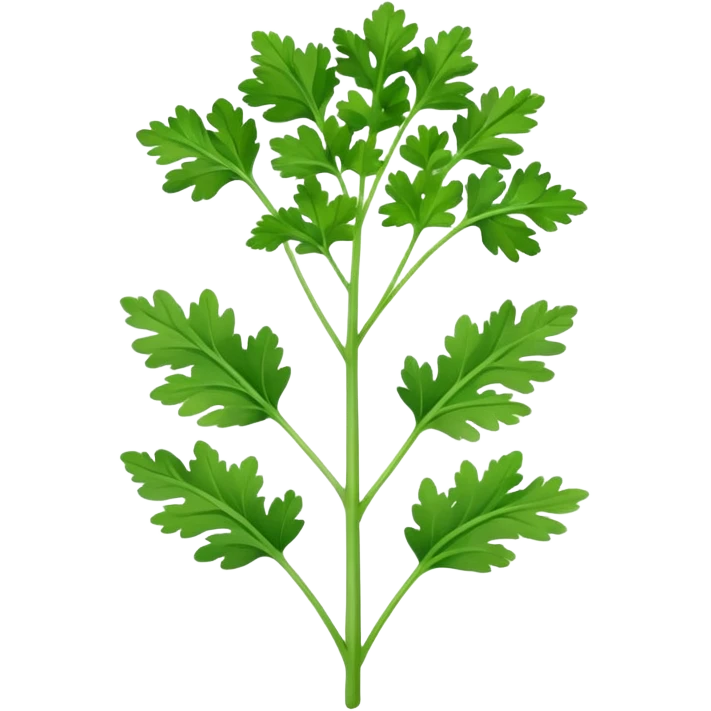Coriander emoji
