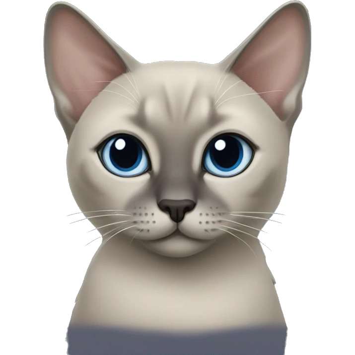 Blue mink tonkinese cat emoji