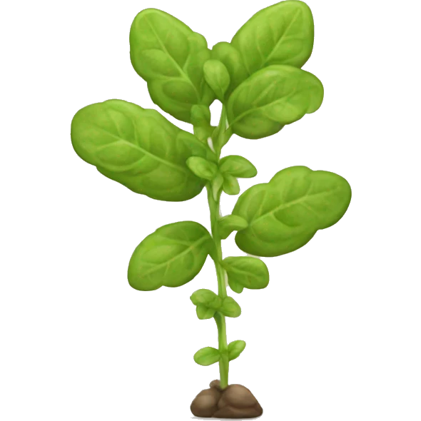 marjoram plant emoji