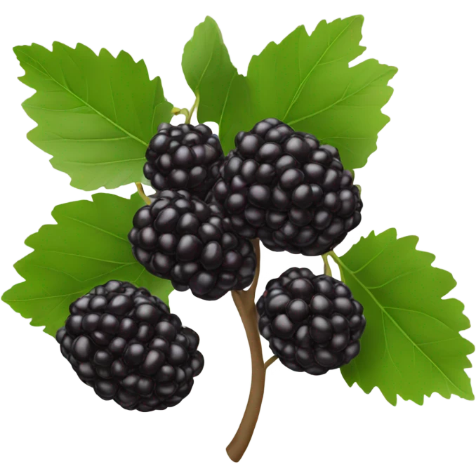 one black mulberry emoji
