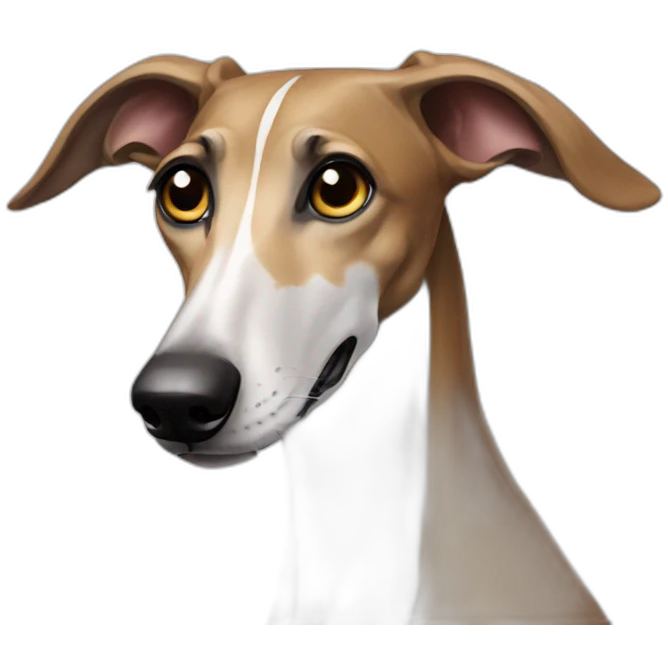 Galgo emoji