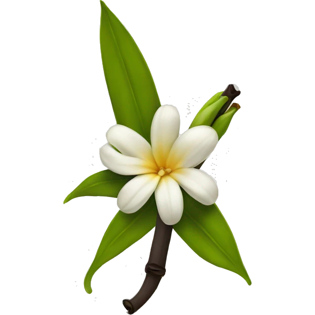  natural vanilla beans with flower emoji