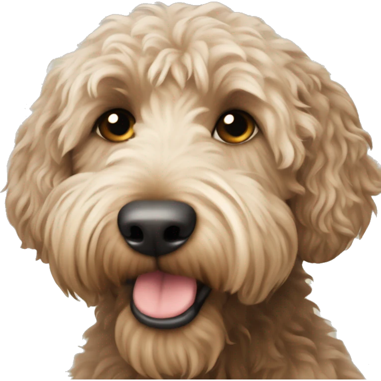 australian labradoodle  emoji