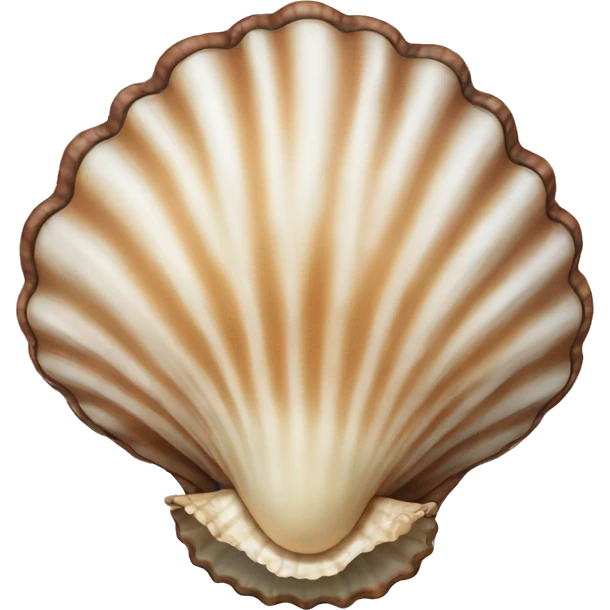 Sea shell  emoji