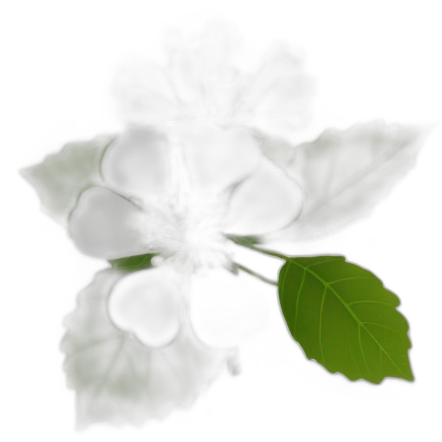 Linden flower white emoji