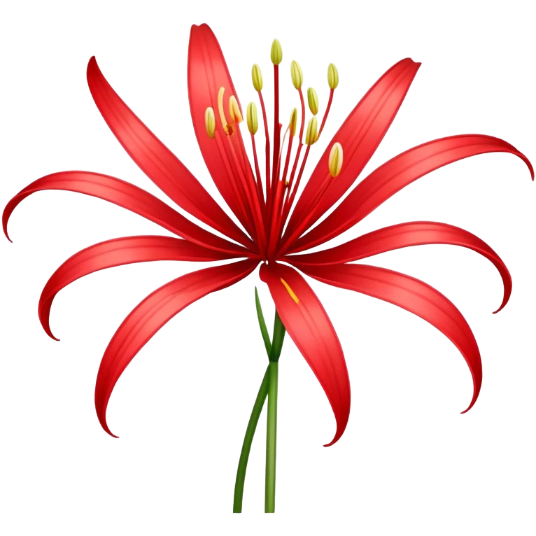 Spider lily flower emoji