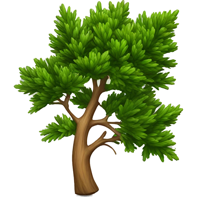 thuja  emoji