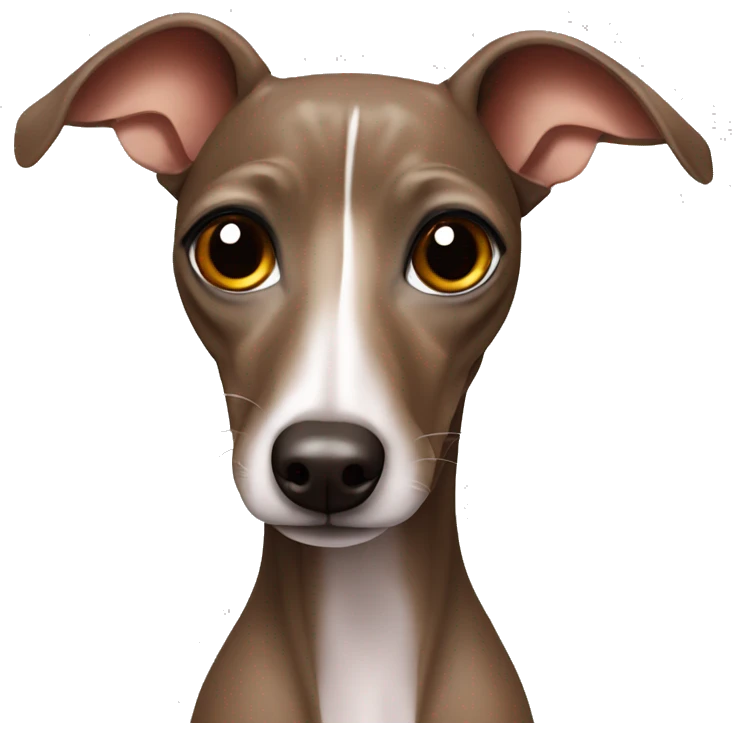 Brown Italian greyhound with bows emoji