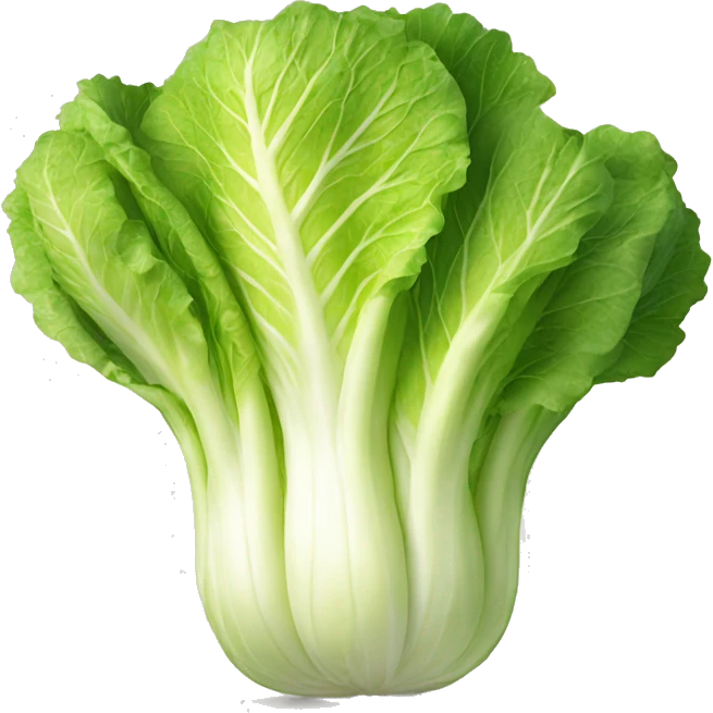 Napa cabbage emoji
