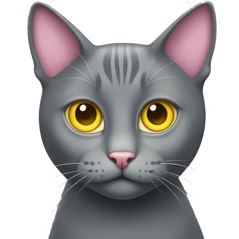 Gray cat with yellow eyes with pink heart  emoji
