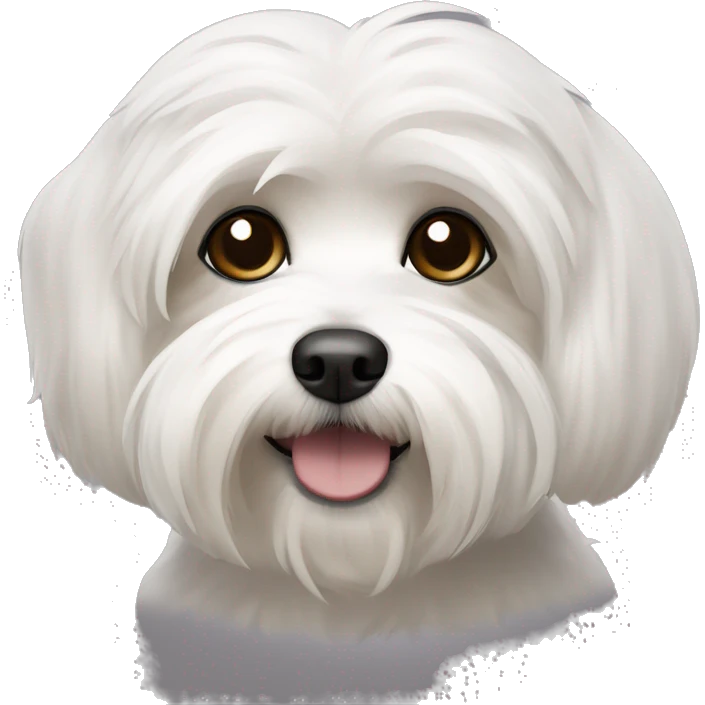 havanese dog with white eyebrows, black around the eyes and ears and white around the mouth emoji