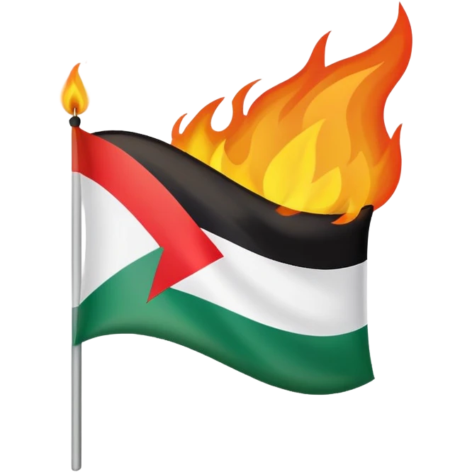 Palestine flag burning with stylized flames emoji