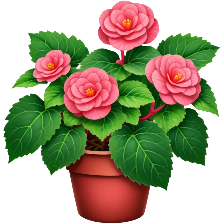 Begonia Rex with spiral leaves emoji