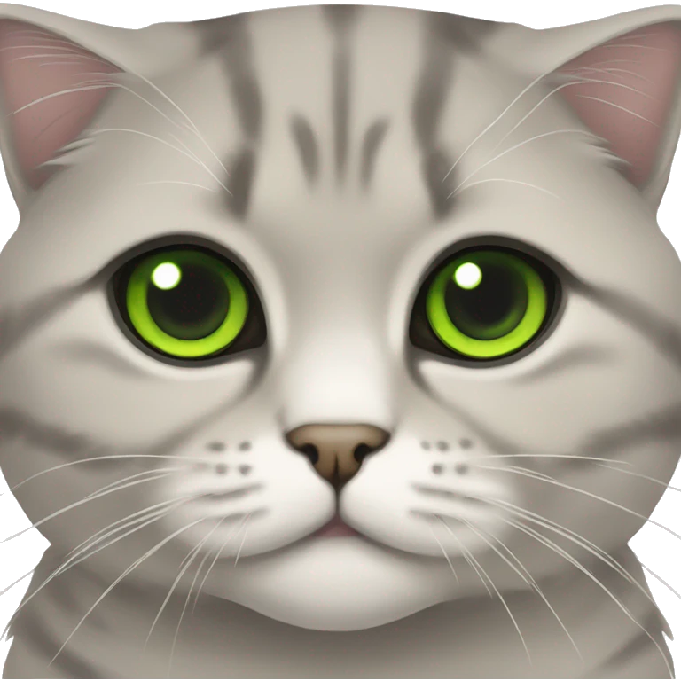 Scottish fold cat with green eyes  emoji