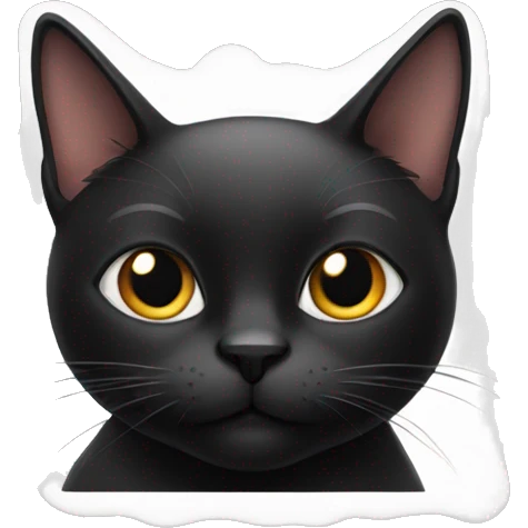 Black cat emoji