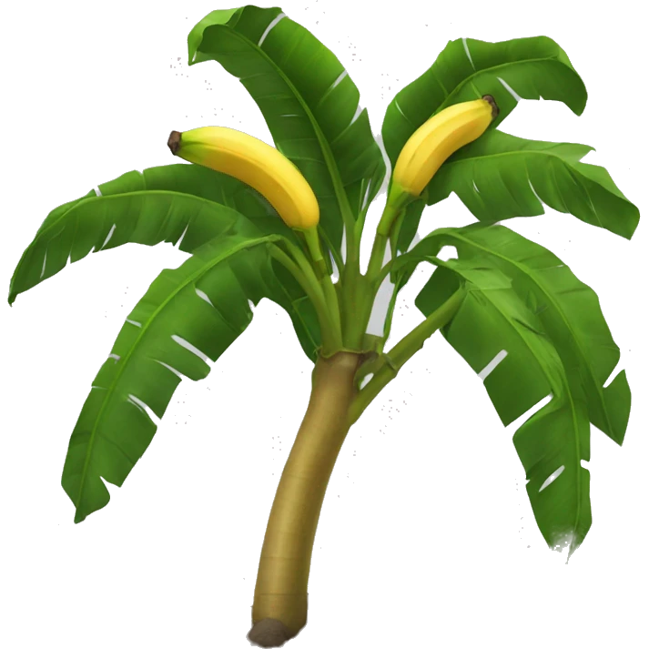 Banana tree emoji