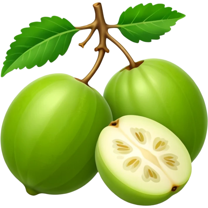 amla fruit, whole and half, green, simple emoji