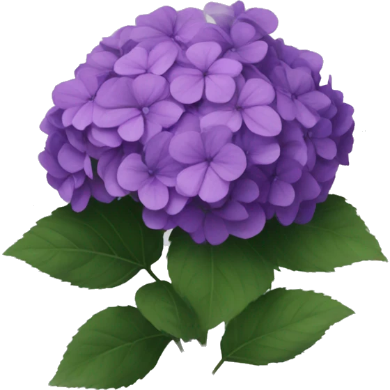 Dark purple hydrangea emoji