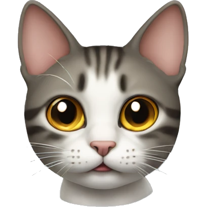 Cat with a question mark over its head emoji