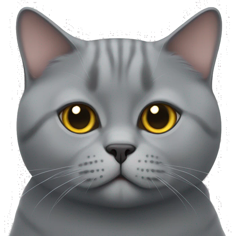 a british shorthair cat emoji