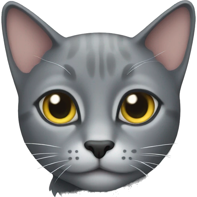Grey cat  emoji