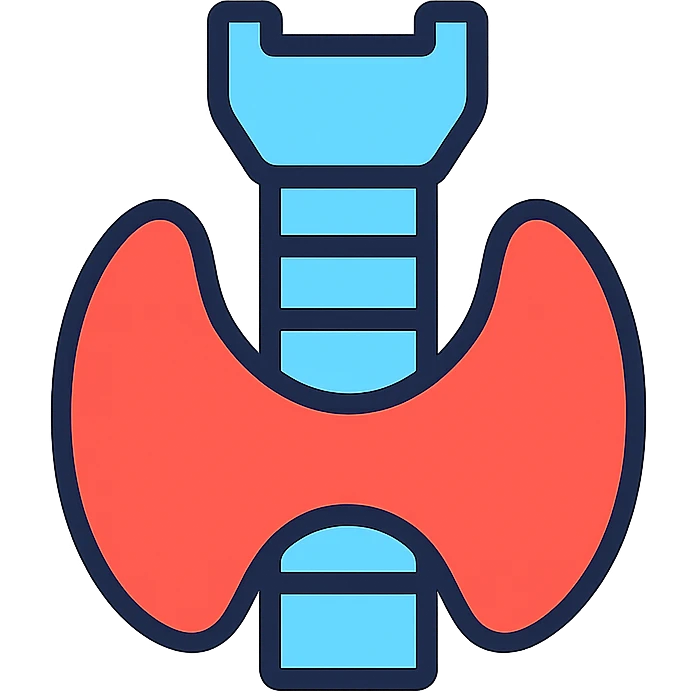 simple, vibrant icon of the human thyroid gland, medical illustration, color outline style emoji