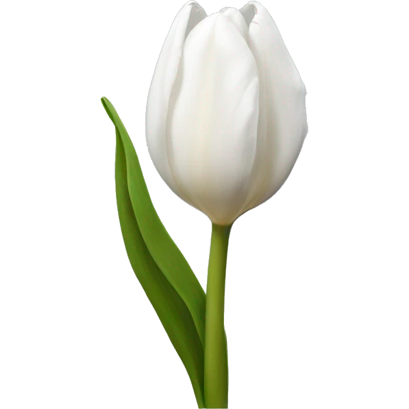 white tulip emoji