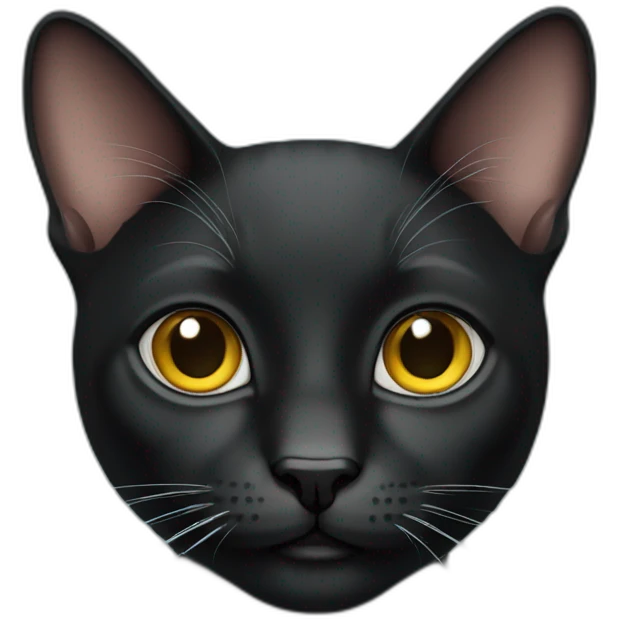 Bkack cat emoji