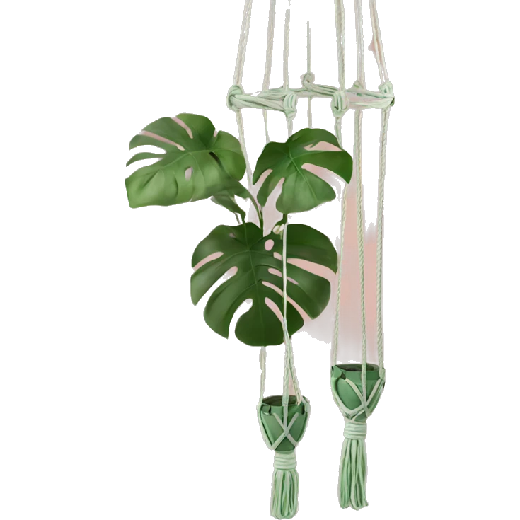 Plant hanger macramés emoji