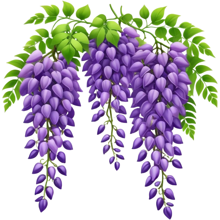 Beautiful wisteria with long cascading clusters of purple flowers hanging like grapes, with delicate green pinnate leaves emoji