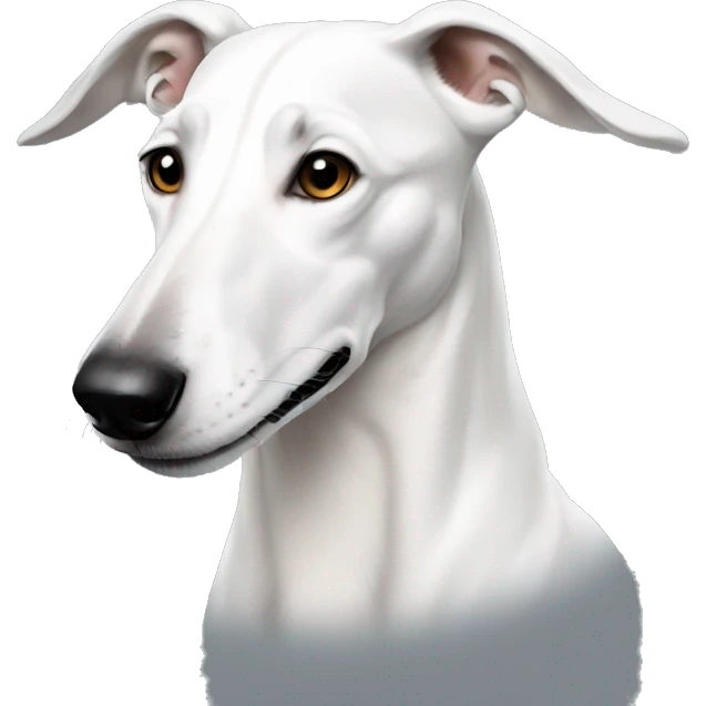 White greyhound  emoji