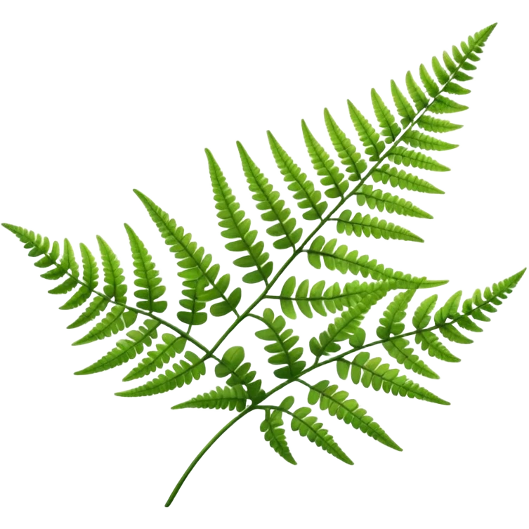 Fern emoji