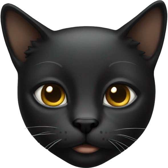 Black roman skin cat emoji