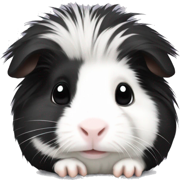 Long haired black and white guinea pig baby emoji