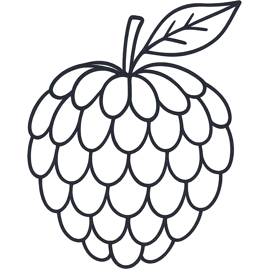 Create a cleaner, simpler hand-drawn black outline illustration of a sugar apple fruit with minimal lines and no fill. The background should be transparent, emphasizing the minimalistic style with clear, crisp black outlines only. emoji