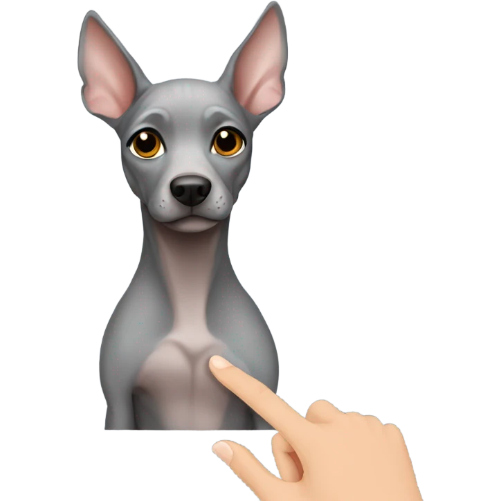 Gray hairless dog give hand emoji