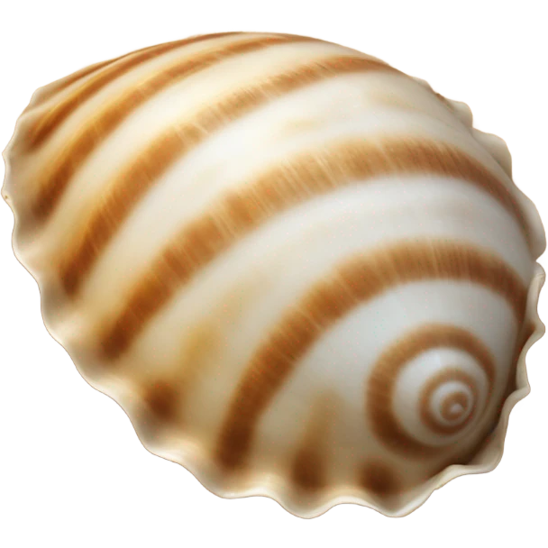 Beach shell  emoji
