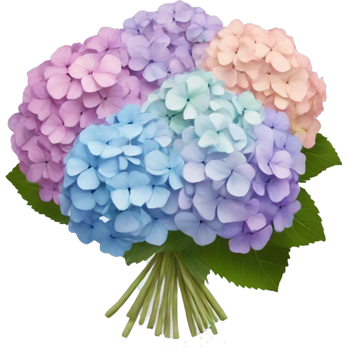 Hydrangeas pastel bouquet  emoji
