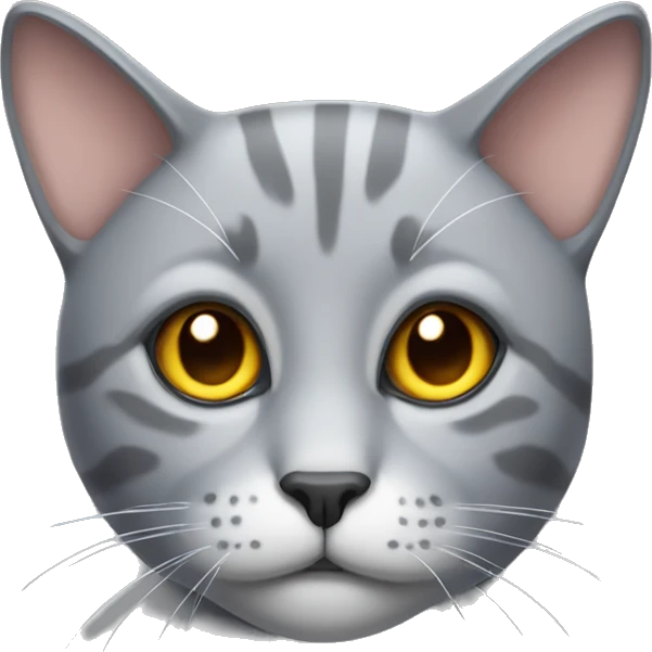 Grey cat with a m on its forehead emoji