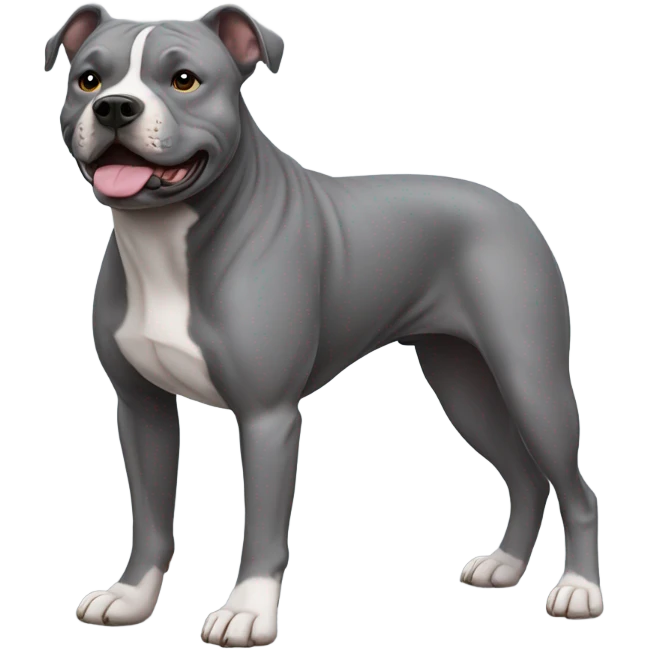 Grey staffy emoji
