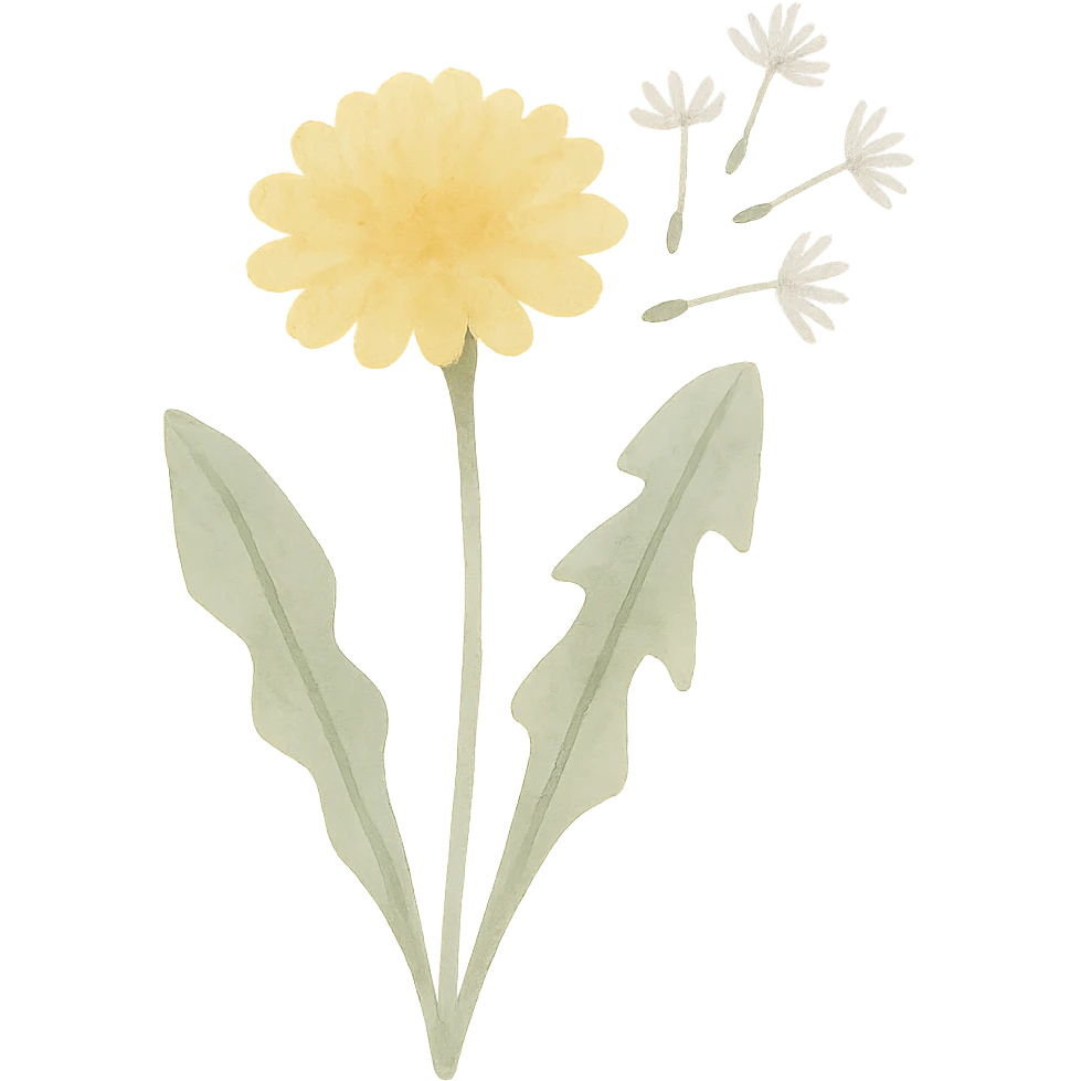 dandelion, intricate details, soft yellow and green, transparent background emoji