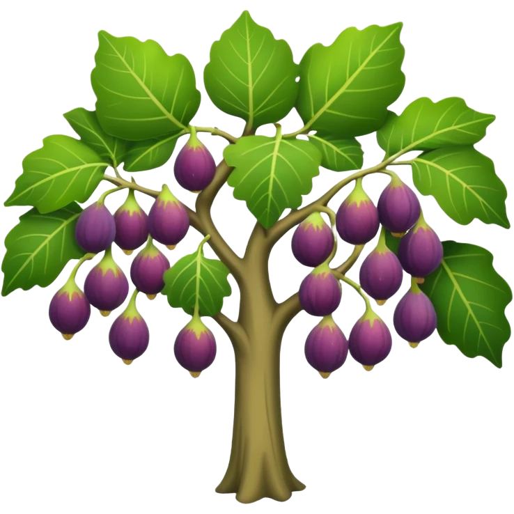 fig tree  emoji