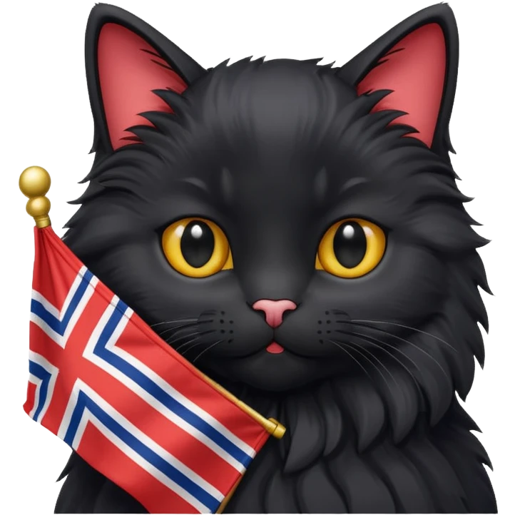 A black cat holding a Norway flag emoji