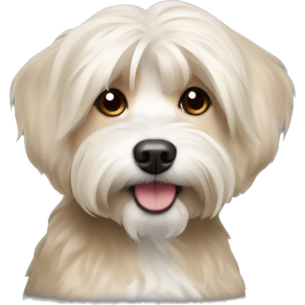 Short hair, beige Havanese dog emoji