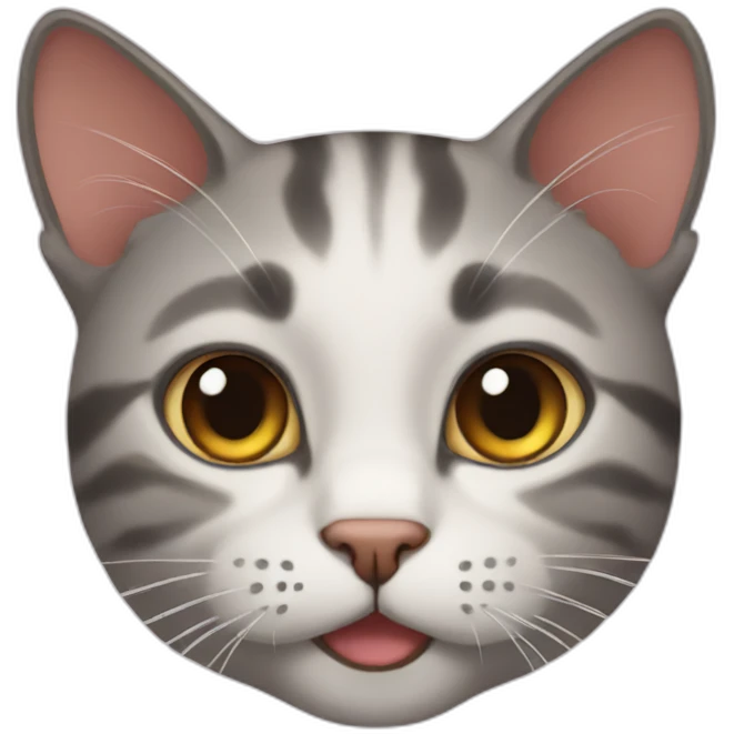 Cat emoji