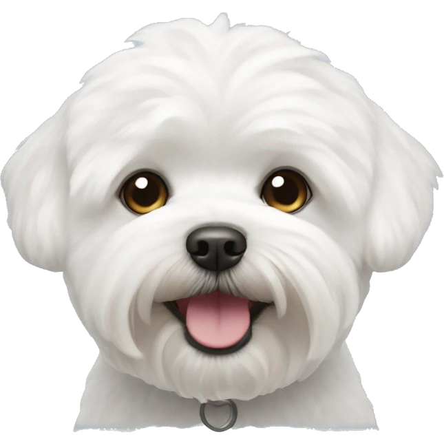 white bichon maltese  emoji