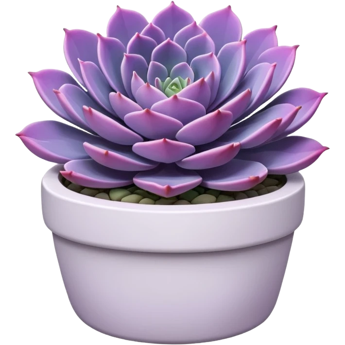 Purple echeveria succulent in white pot emoji