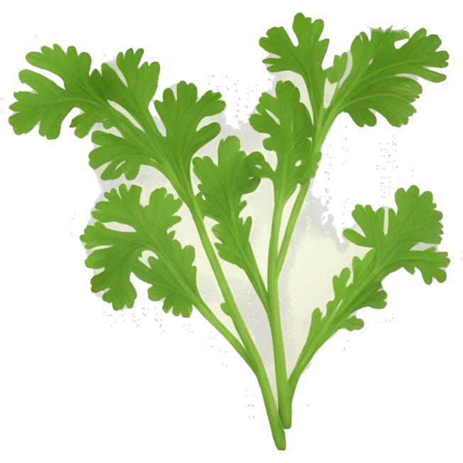 coriander emoji